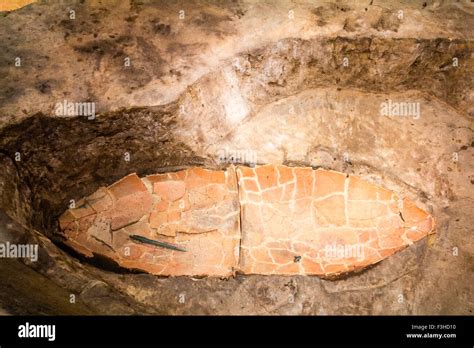 yoshinogari park yayoi settlement kitafunkyubo  hall
