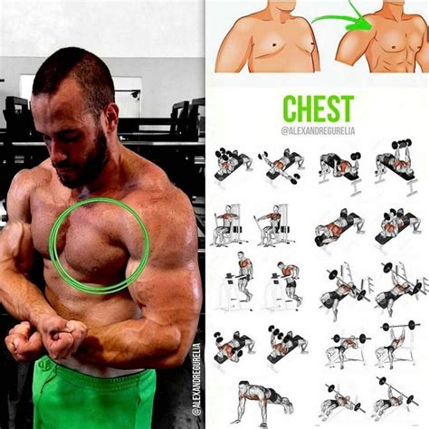 Chest exercises