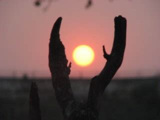 What Time is Sunrise and Sunset in Hyderabad, India?