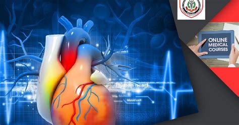Fellowship in Cardiology: Fellowship in Cardiology