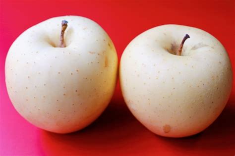 apple kinsei stock photo  image  aomori prefecture