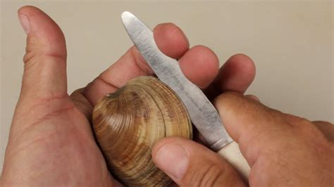 how to make a clam open naturally