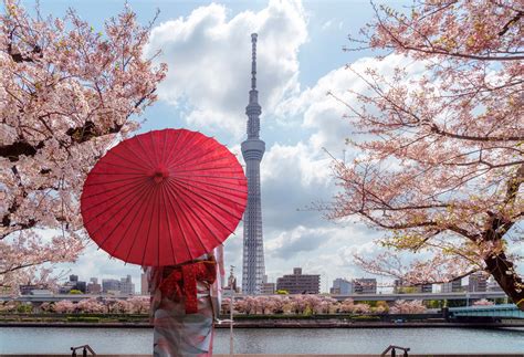 38 Tokyo Tour Packages | Upto 40% on Tokyo Trip Packages