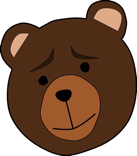 bear face vector art   bear face icons graphics