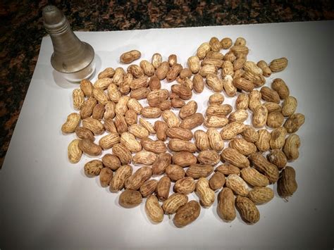 1574 best Zone 6 images on Pholder | Gardening, Whatsthisplant and Btd6