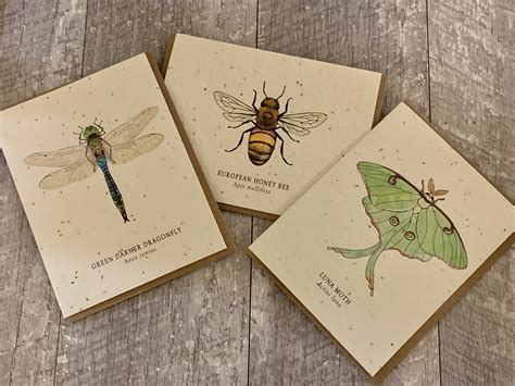 Seed Business Cards: A Unique and Eco-Friendly Way to Spread Your ...