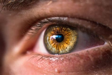Why Did Odin Have One Eye? - Myth Nerd