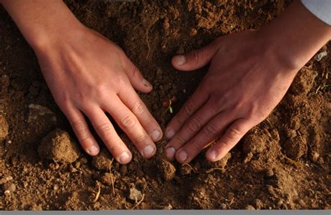 Two regional workshops about AGRIS in the Republic of Moldova