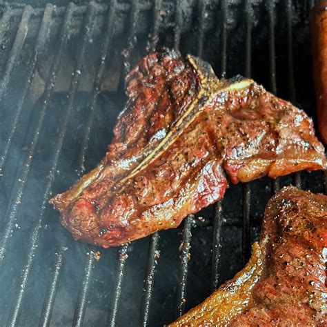 bison meat recipes 7