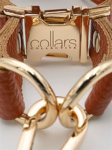 The Chilli Harness – Collars Collective
