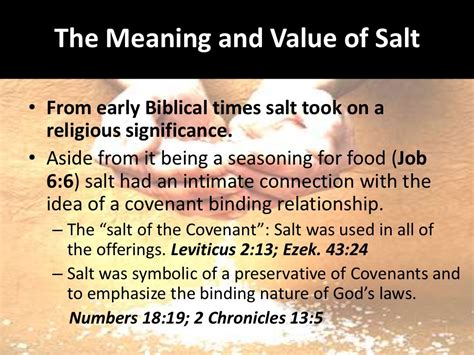 The Life in Christ Salt of the earth