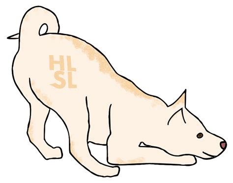 hlsl-specs | HLSL Specifications