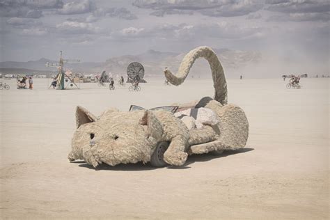 burning man 2014 | Can I Take a Picture
