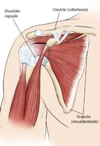Frozen Shoulder - Cause, Treatment, Exercises