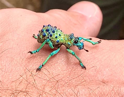 Daniel unwound him and he turned into this | Photo