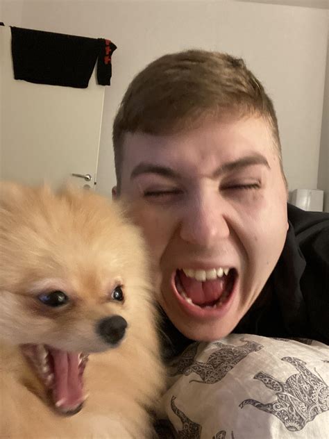 My favorite picture of my dog : r/AnimalsBeingDerps
