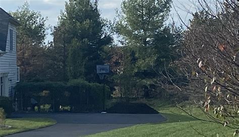 A little sprucing up before the fall. My neighbors have had this