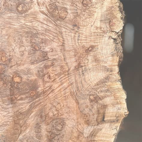 hamilton lee supply maple big leaf hamilton lee supply