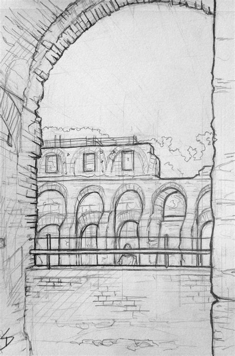 colosseum rome drawing