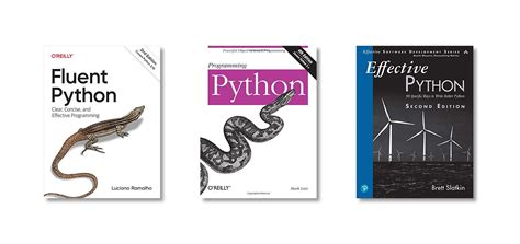 books  intermediate python programmers pythonbooksorg