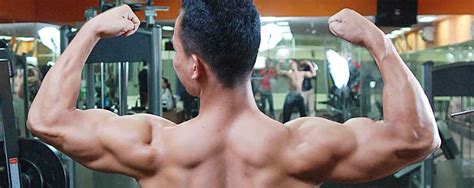 bahu-belakang - Reps Indonesia - Fitness & Healthy Lifestyle