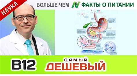 0414.Самый дешевый источник витамина В12 | Больше чем ФАКТЫ О ПИТАНИИ ...