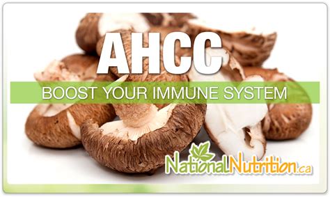 Discover How AHCC Supports Immunity From NationalNutrition.ca ...