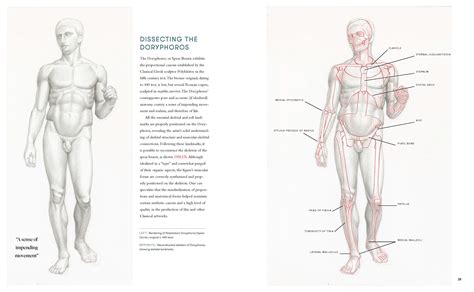 Valerie Winslow Classic Human Anatomy 1