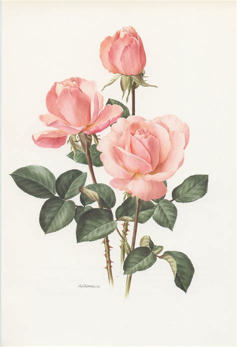 Vintage rose – Artofit