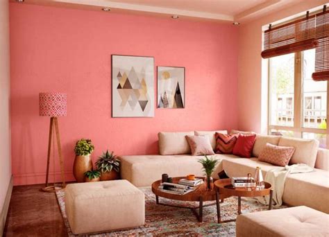 wall colour combination  living room asian paints baci living room