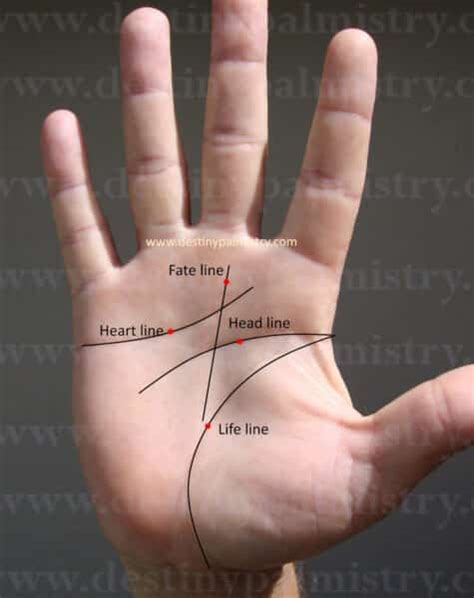 Easy Palm Reading Guide for Beginners - Destiny Palmistry