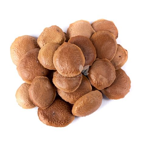 Para Que Serve A Semente Sucupira - Semente de Sucupira 100g