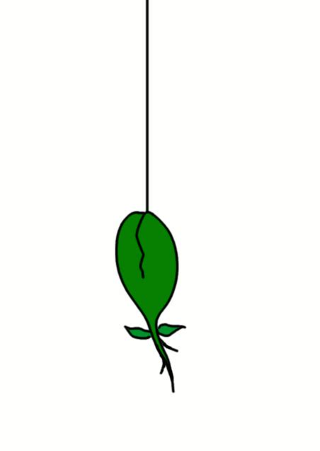 daily flower wip  retsamys  deviantart