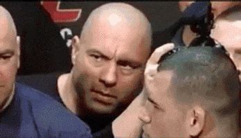 Are Hilarious Dirty GIFs Safe? Experts Weigh In. - hxpk8et