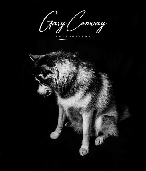 Gary Conway Photography