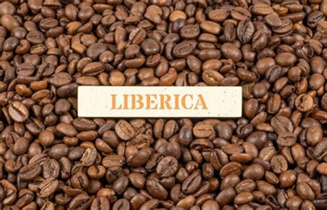 liberica coffee origin types flavors