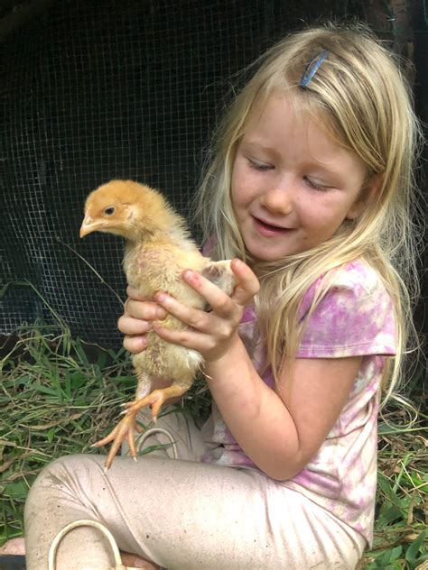 Homesteading Myths & Misconceptions – Sierra y Cielo