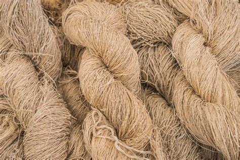 Hemp - Textile Exchange