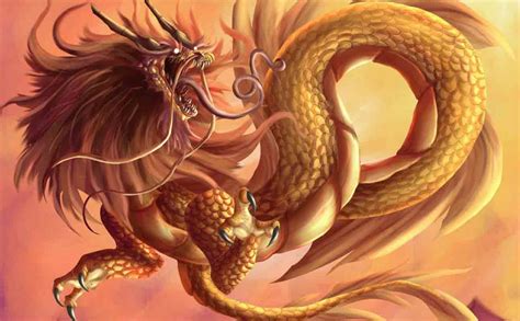 dragons advisor