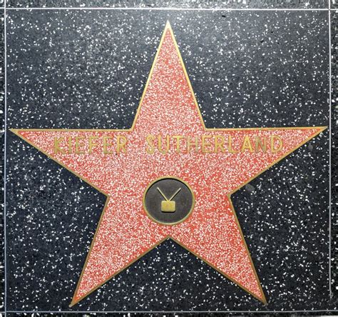 The Stature Of A Star Measuring Kiefer Sutherlands Height And Its Cultural Footprint