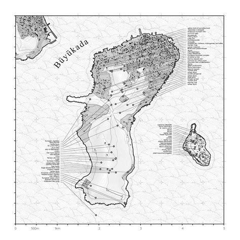 Critical Cartography