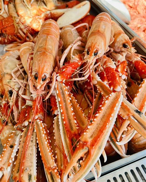 Hvor Lenge Holder Reker Seg I Kjøleskap