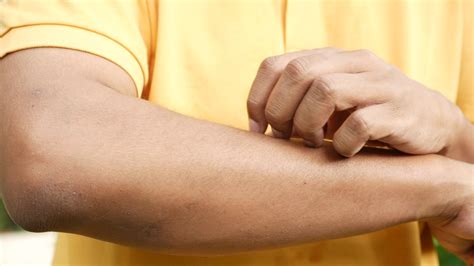 Forearm Stock Video Footage for Free Download