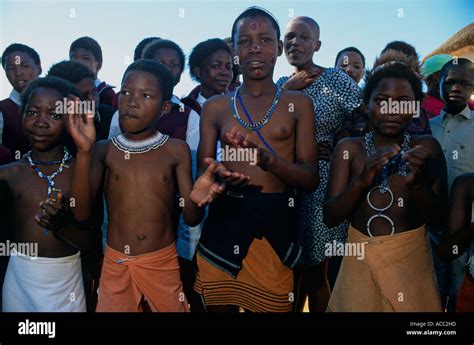 Group of dancers performing traditional Zulu dance, South Africa Stock ...