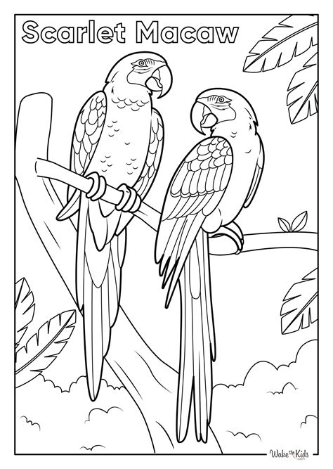 Macaw Coloring Pages (Free Printable PDFs) | WakeTheKids