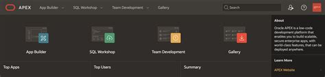 Oracle APEX