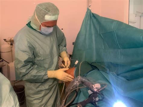 Surgery - Orthopaedics Poberaj