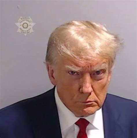 President Joe Biden Calls Donald Trump's Mug Shot 'Handsome'