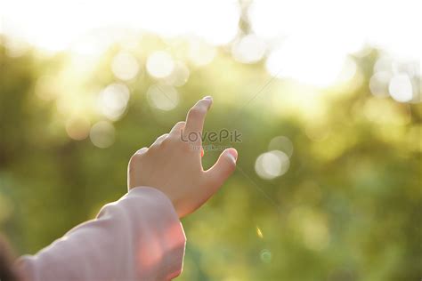 finger touch natural close  image  picture    lovepik
