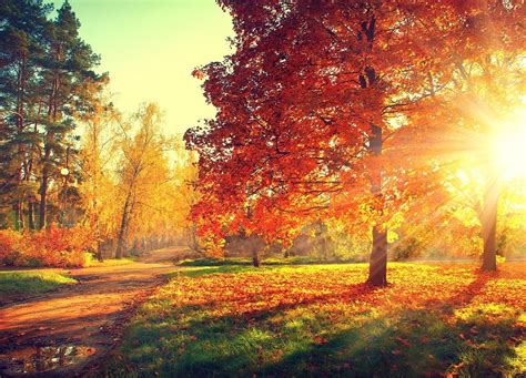 uk autumn weather forecast